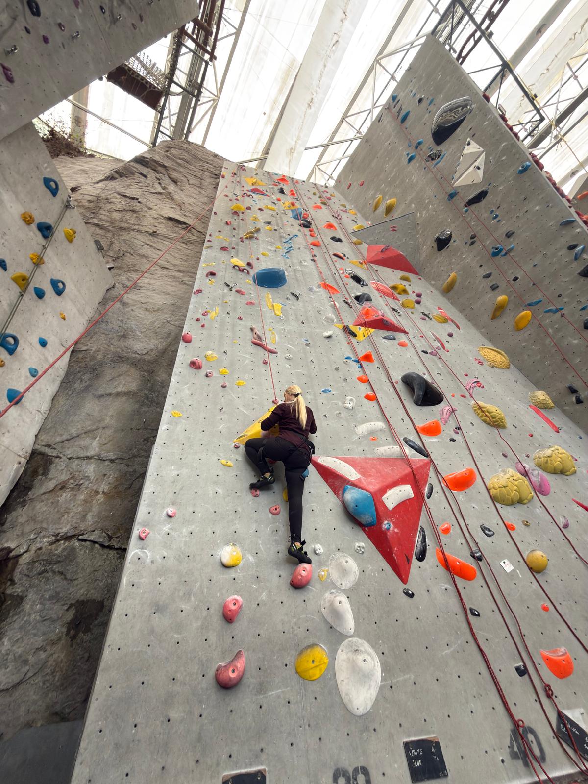 Danielle climbing a tall indoor climbing wall
