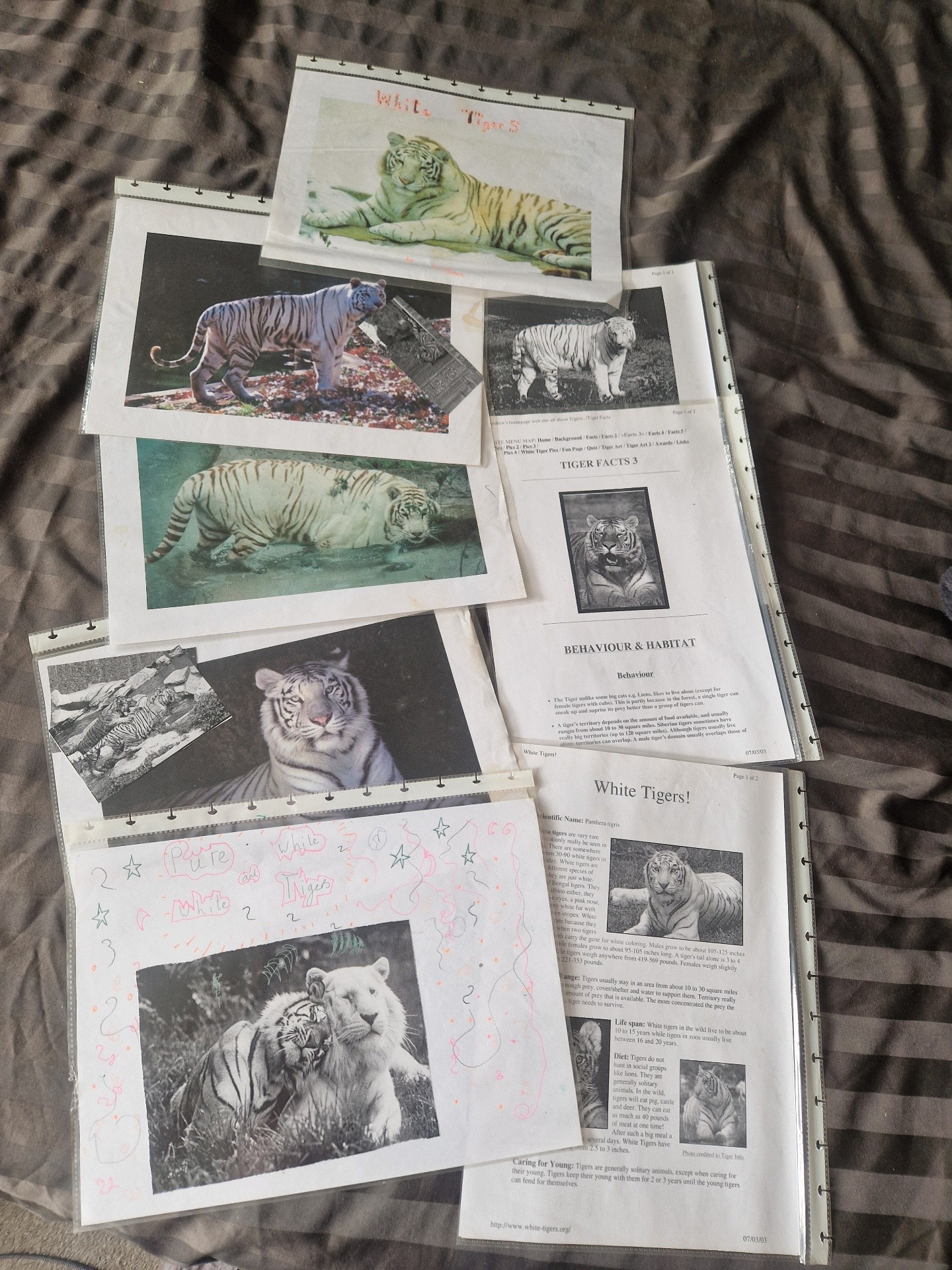 So I still have this primary school project too