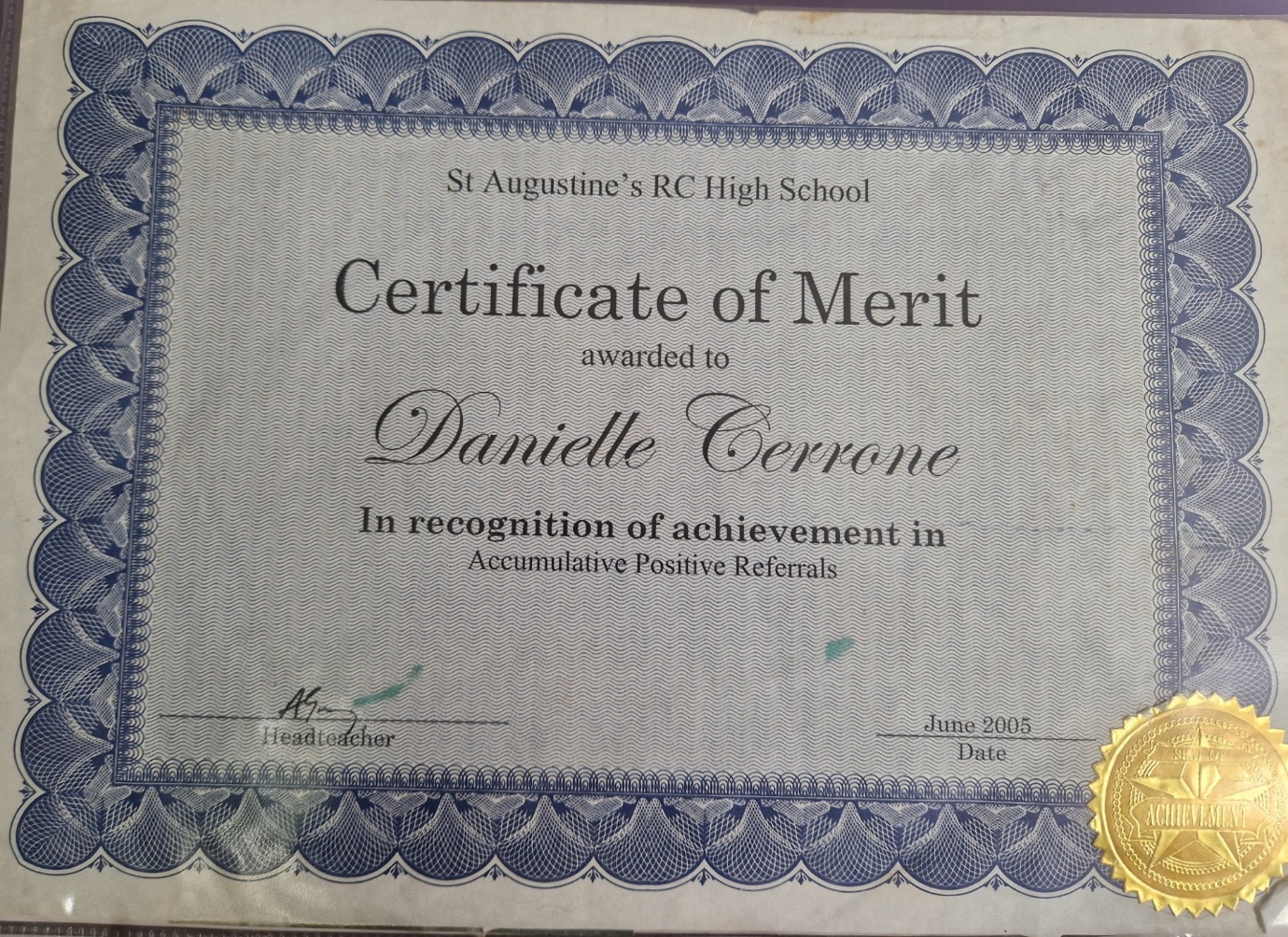 this was because I got so many positive referrals for also being really good, and excelling in stuff I like doing