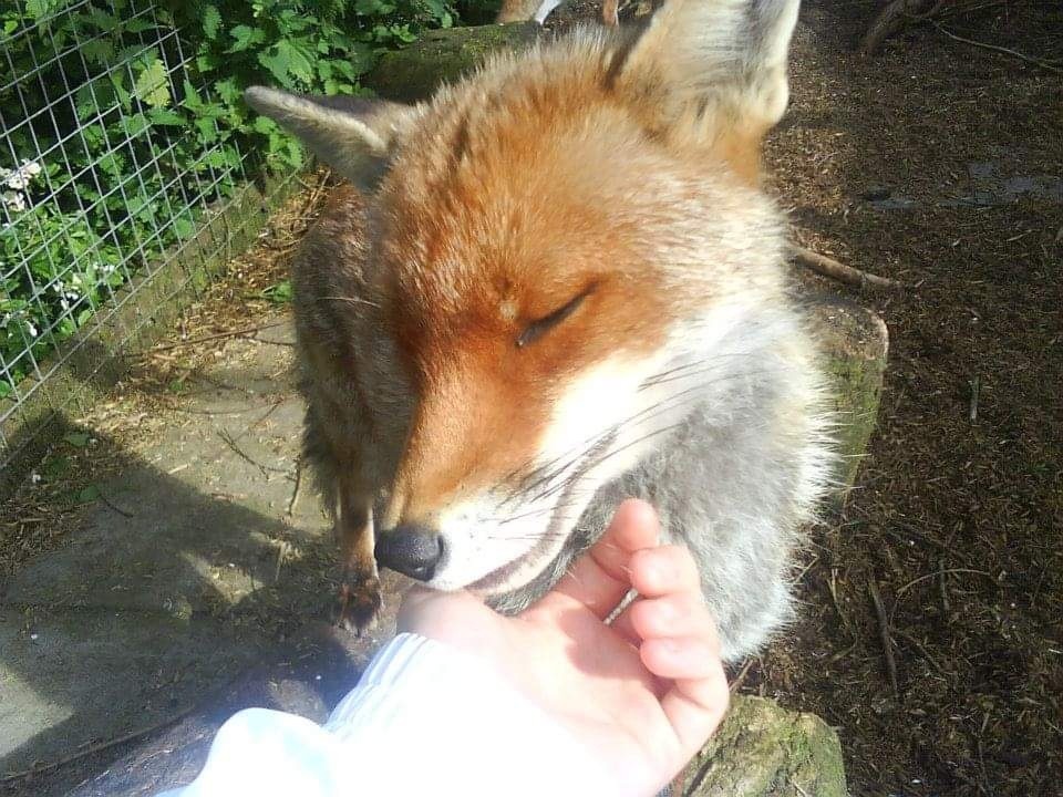 Look how cute he is!